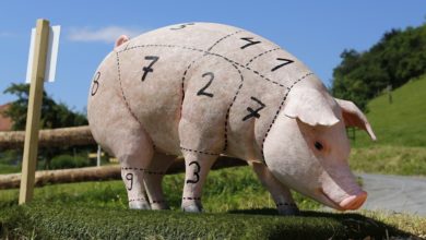 Ein Schwein, von dem man Schweinefleisch gewinnt, dass nicht den Speisegebote der Bibel entspricht