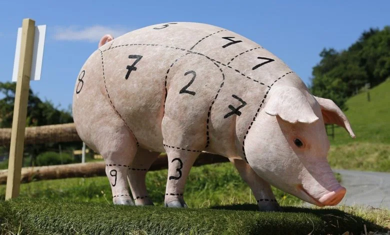 Ein Schwein, von dem man Schweinefleisch gewinnt, dass nicht den Speisegebote der Bibel entspricht
