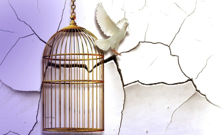 A white dove that is escaping from a cage that symbolizes how to be born again