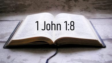 1 John 1:8 - If we say we have no sin, we deceive ourselves, and the truth is not in us