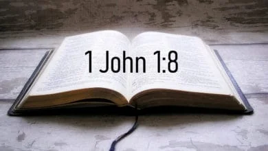 1 John 1:8 - If we say we have no sin, we deceive ourselves, and the truth is not in us