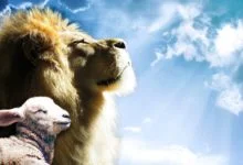 A lion and a lamb that show that the messianic prophecies of the old testament of the Bible point to the Messiah Yeshua