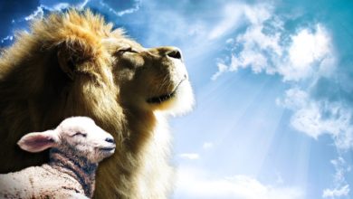 Ein Löwe und ein Lamm, die laut den messianischen Prophezeiungen aus der Bibel auf den Messias Yeshua hinweisen
