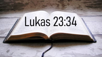 Eine Bibel mit Lukas 23:34, wo drin steht: Vater, vergib ihnen, denn sie wissen nicht, was sie tun