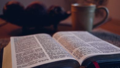 A Bible which you read on the Sabbath