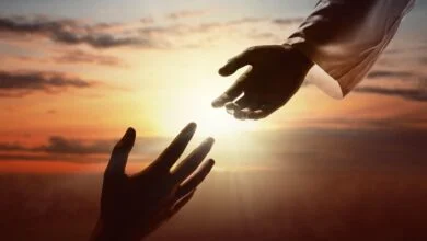 What does the Bible say about Forgiveness? How many times should we forgive?